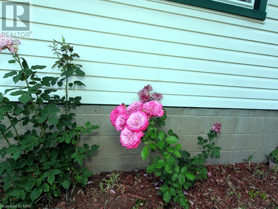 6776 Betty Avenue, Niagara Falls, Ontario  L2G 5W3 - Photo 6 - 40641928