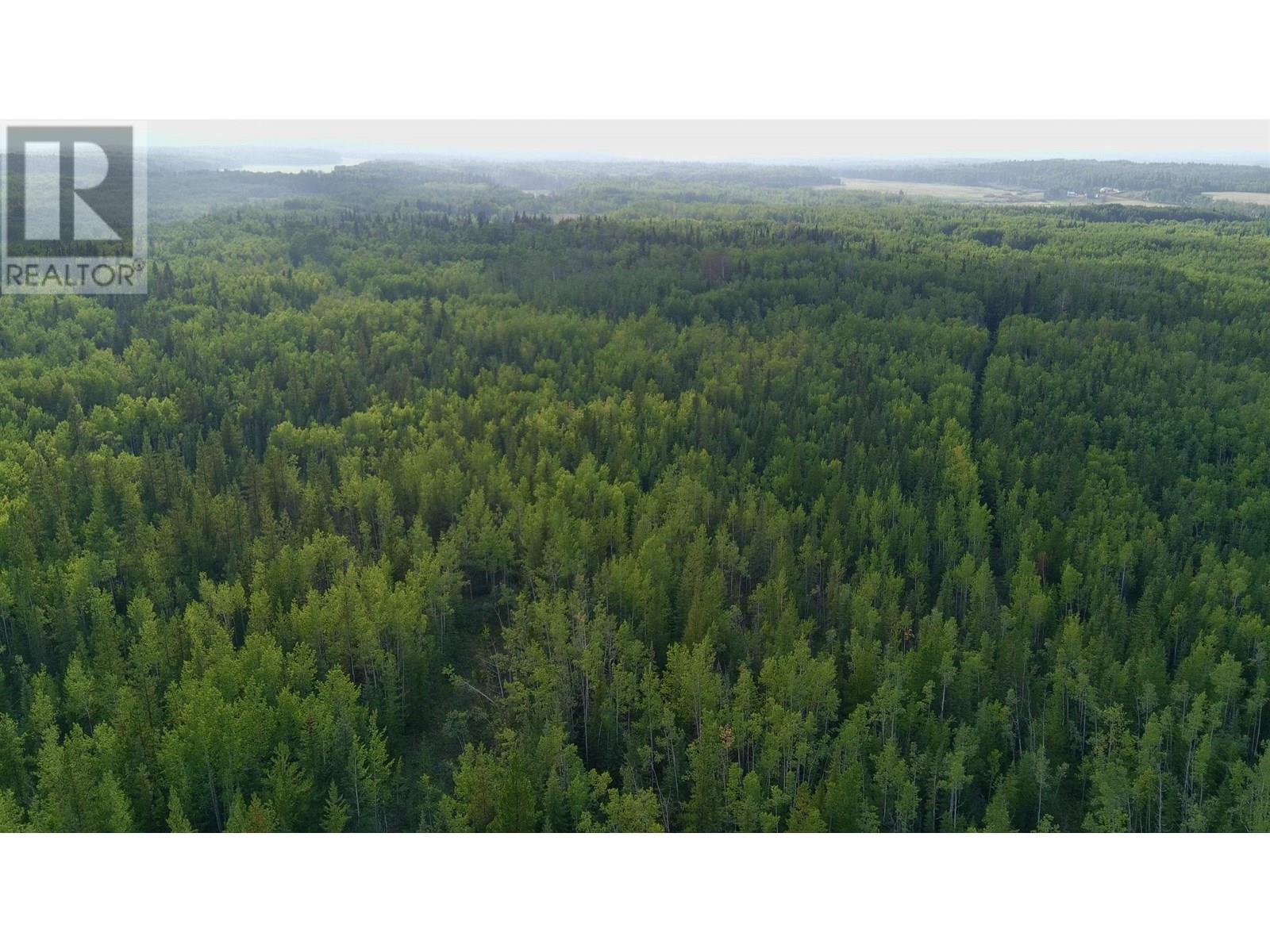 13151 Mapes Road, Vanderhoof, British Columbia V0J 3A1 - Photo 5 - R2922067