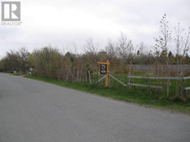 12 - 14 Forest Road, Conception Bay South, Newfoundland & Labrador  A1X 3G9 - Photo 3 - 1275920