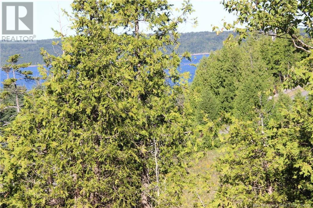Property at 00 Shoreline Drive image 2