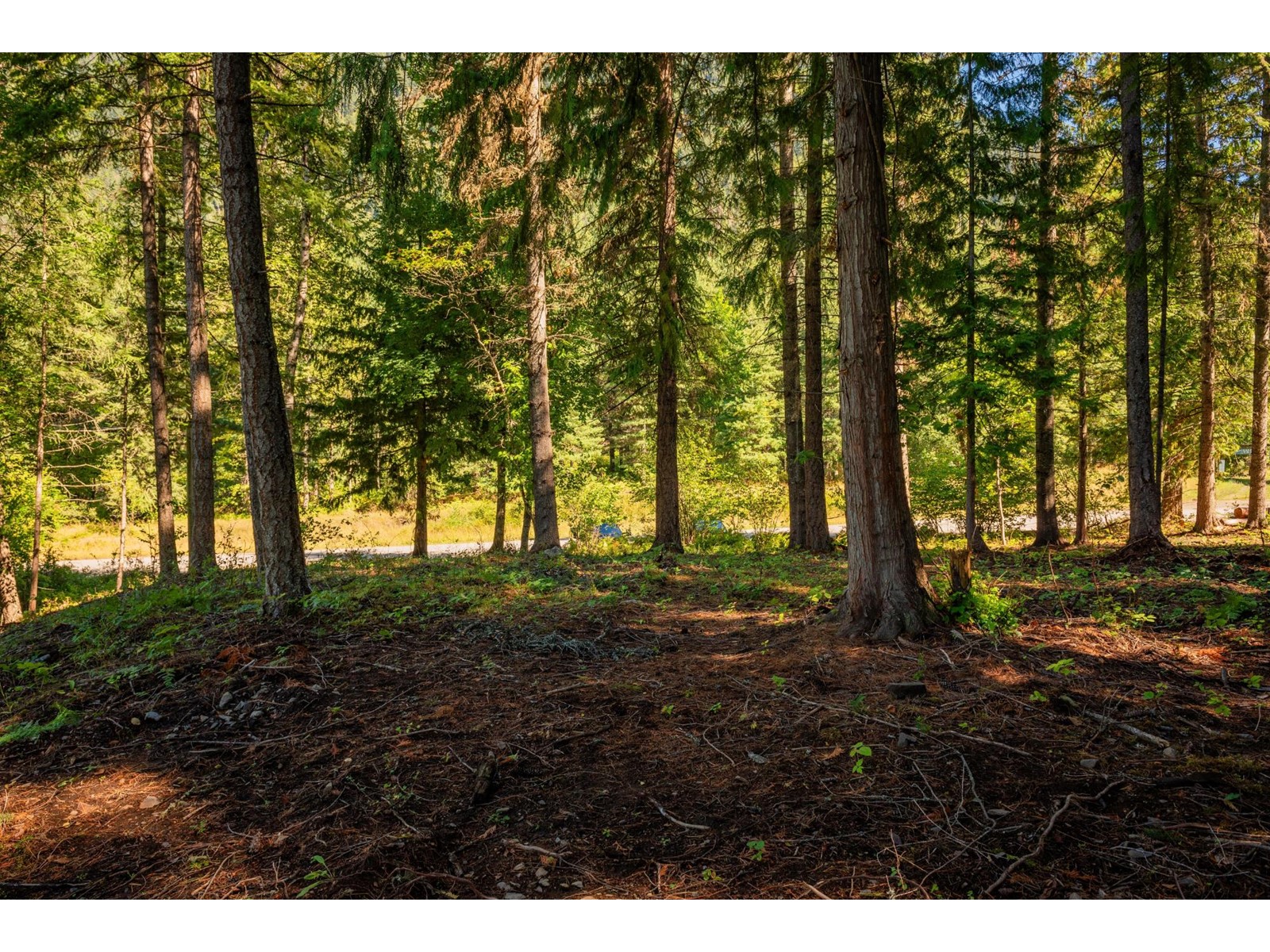 Lot A Denver Siding Road, New Denver, British Columbia  V0G 1S0 - Photo 18 - 2479386