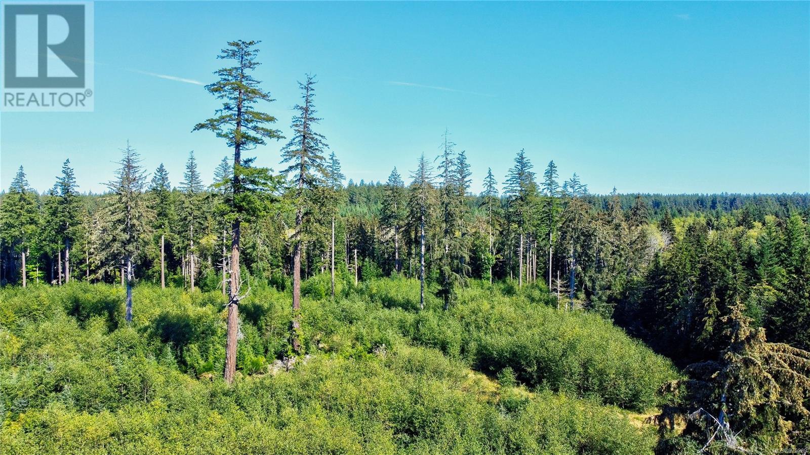 896 April Point Rd, Quadra Island, British Columbia  V0P 1N0 - Photo 67 - 975209