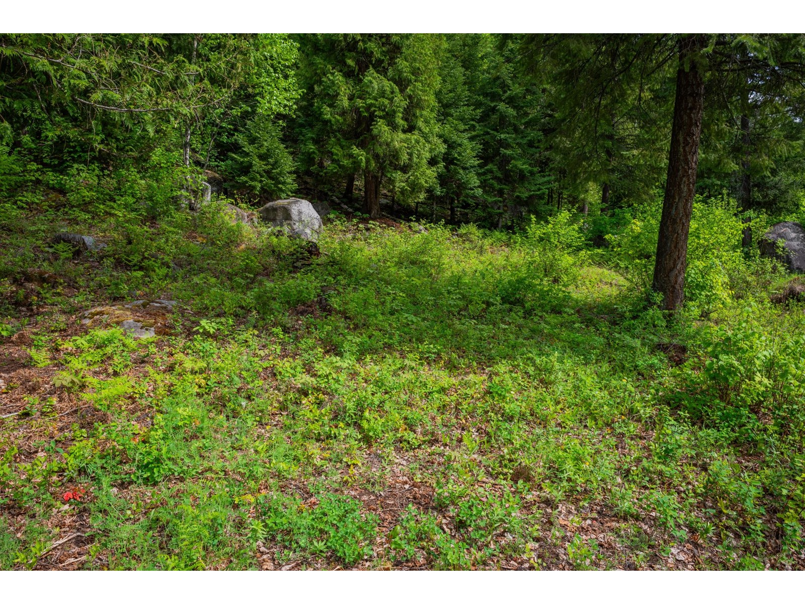 1959 Sandy Road, Castlegar, British Columbia  V1N 4T1 - Photo 61 - 2479430