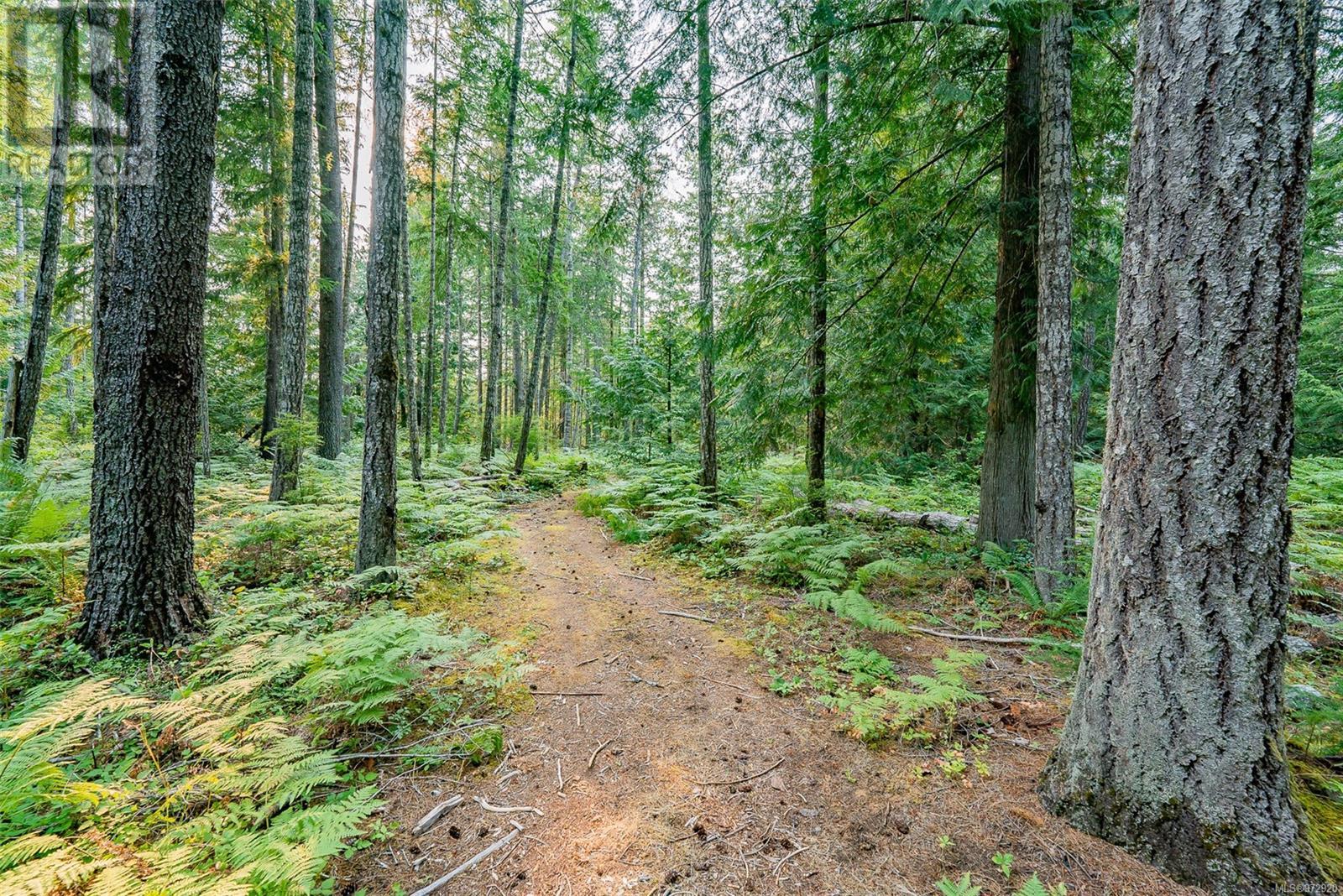 930 Spider Lake Rd, Qualicum Beach, British Columbia  V9K 2L7 - Photo 65 - 972920