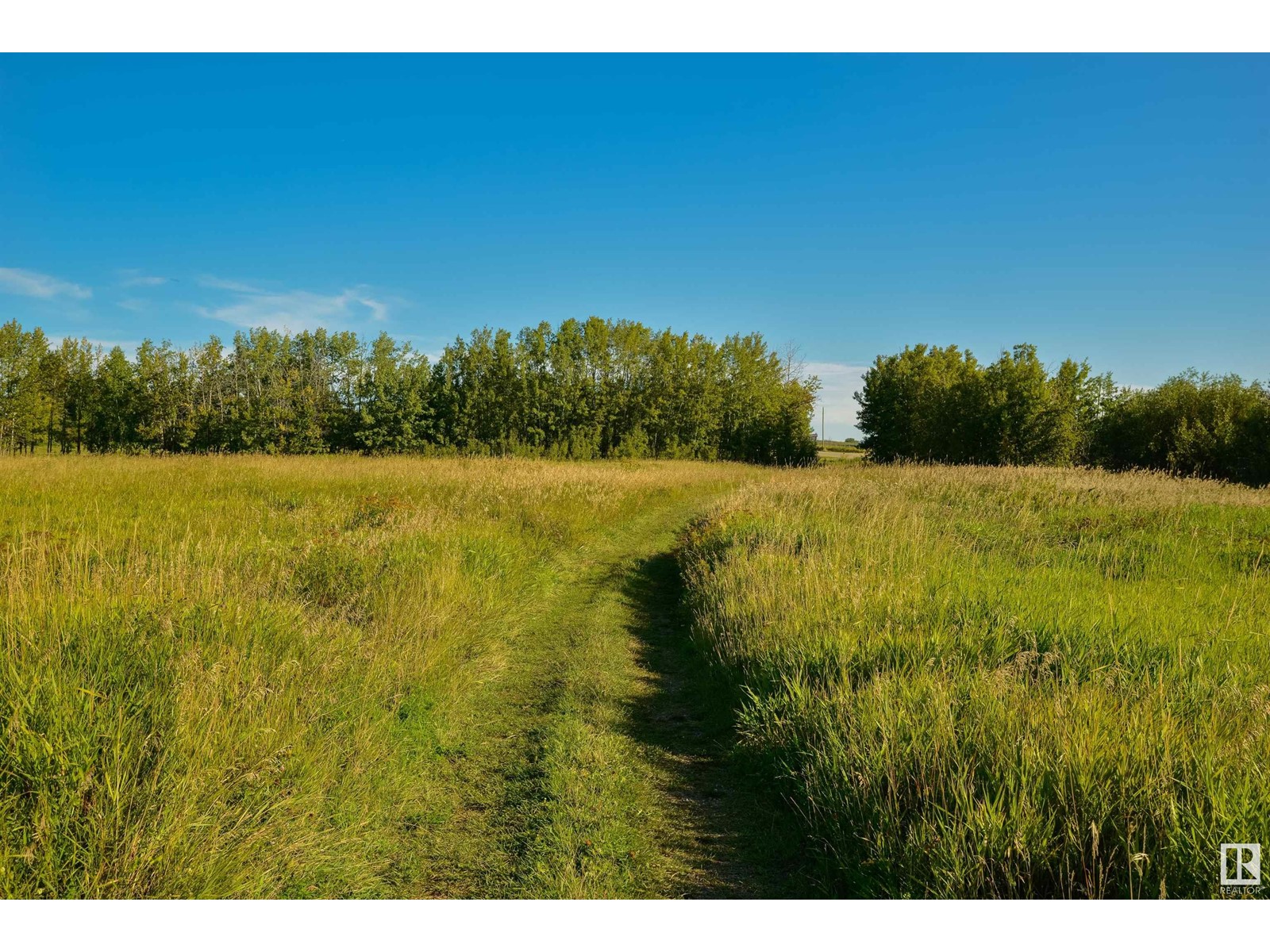 #57 53522 Rge Road 274, Rural Parkland County, Alberta  T7X 3T1 - Photo 5 - E4405408