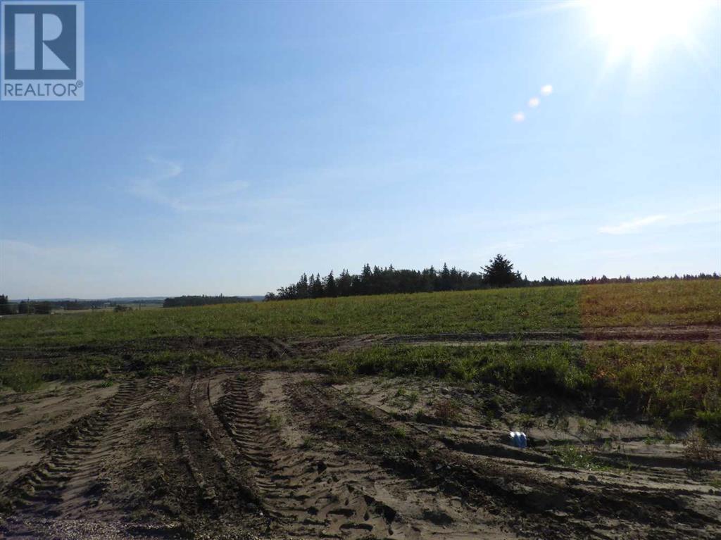 Near Ponoka, Rural Ponoka County, Alberta  T0C 2J0 - Photo 4 - A2163843