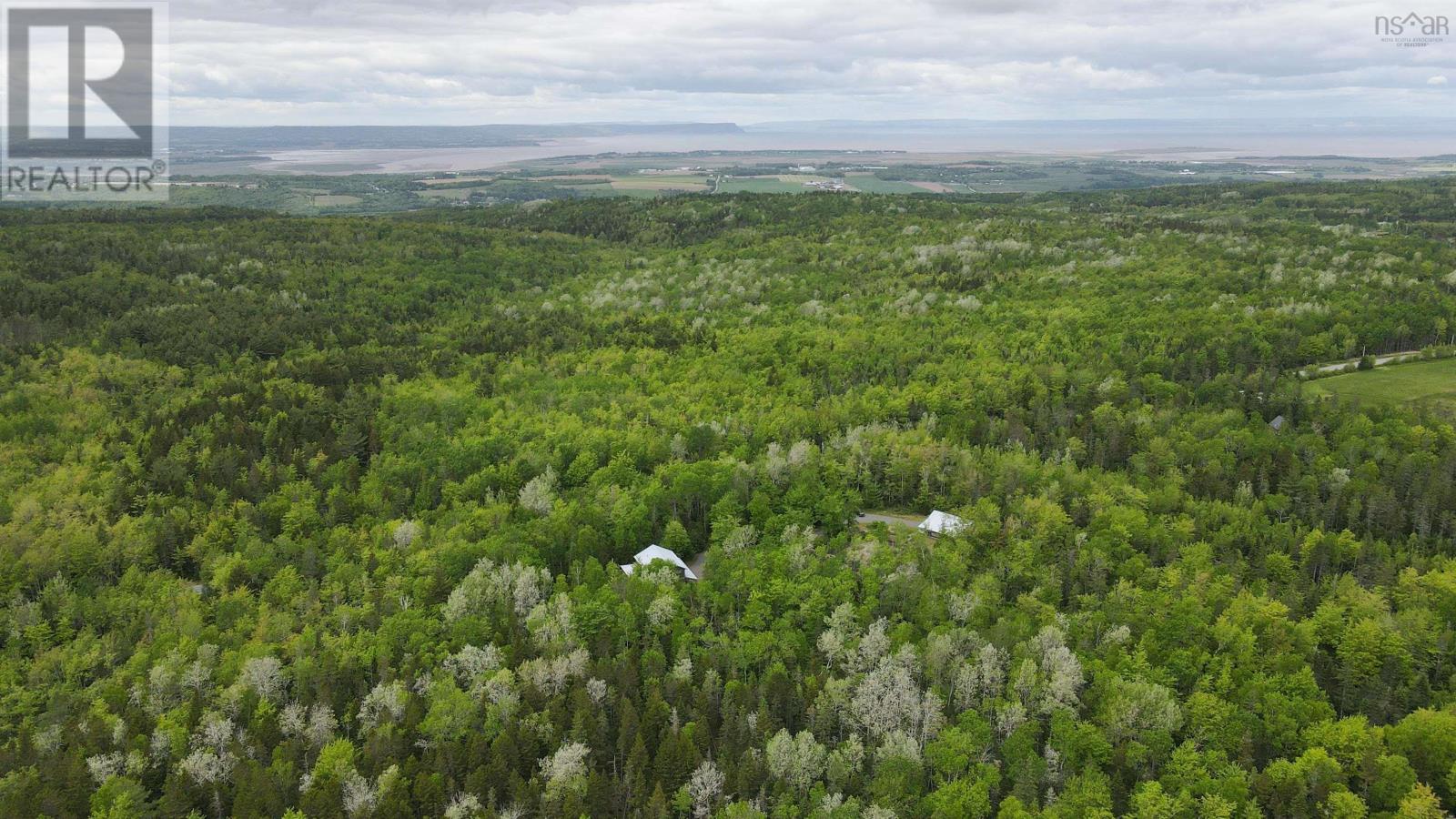 356 Davison Street, Forest Hill, Nova Scotia  B4P 2R3 - Photo 2 - 202421658