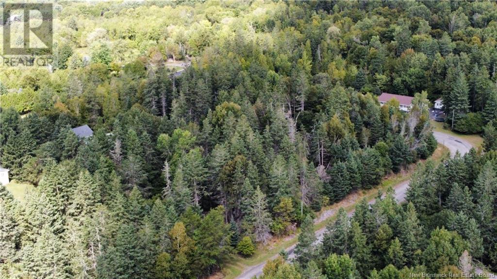Bell, Darlings Island, New Brunswick  E5N 6S8 - Photo 7 - NB105431