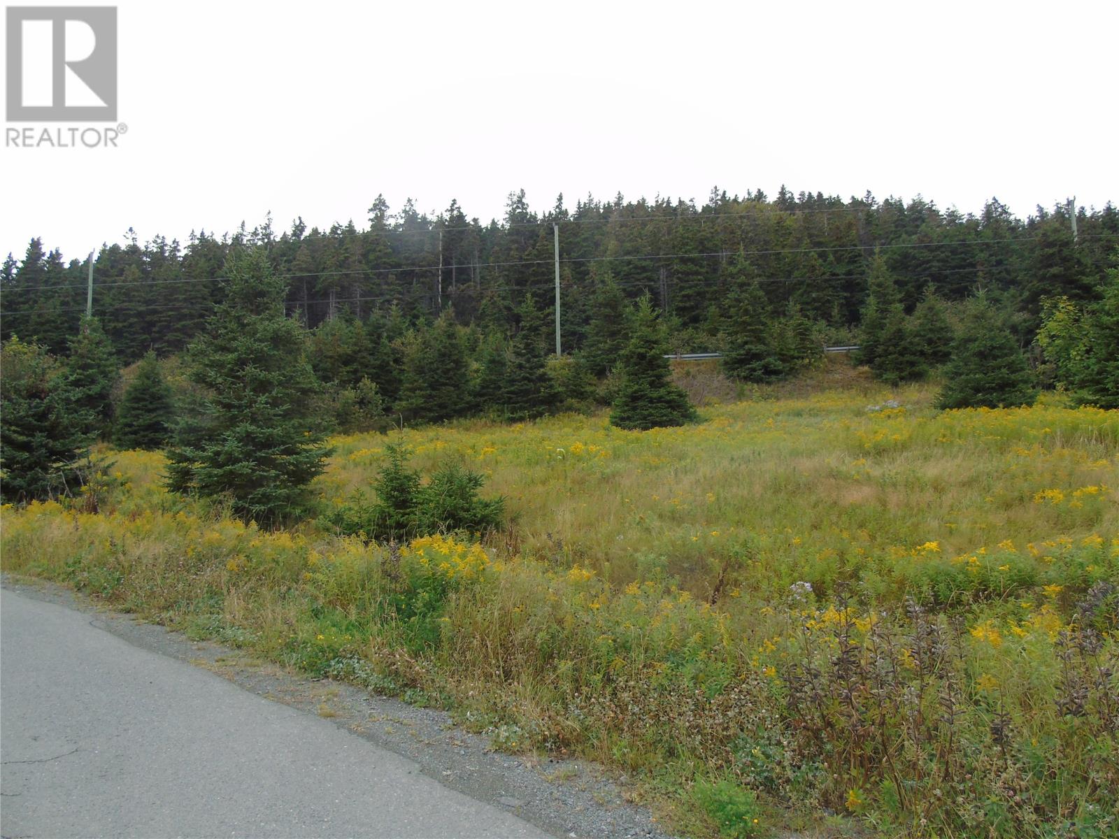 0 Southern Side Lance Cove Road, Bell Island, Newfoundland & Labrador