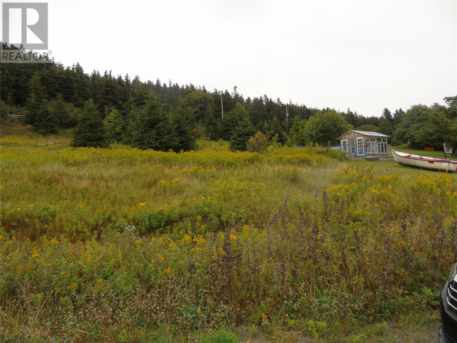 0 Southern Side Lance Cove Road, Bell Island, Newfoundland & Labrador  A0A 4H0 - Photo 2 - 1276647