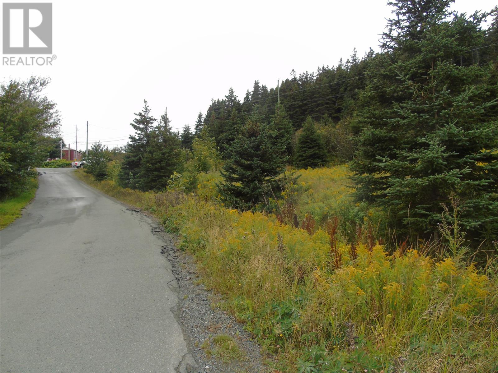 0 Southern Side Lance Cove Road, Bell Island, Newfoundland & Labrador  A0A 4H0 - Photo 4 - 1276647