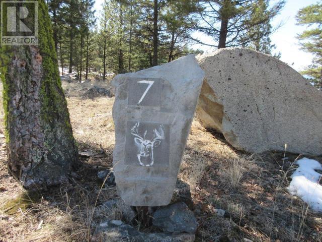 75 Blacktail Road, Osoyoos, British Columbia V0H 1V6 - Photo 2 - 10323613