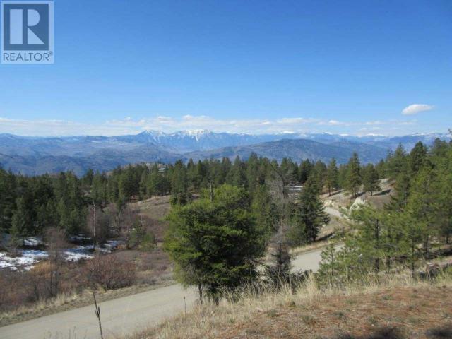 75 Blacktail Road, Osoyoos, British Columbia V0H 1V6 - Photo 3 - 10323613