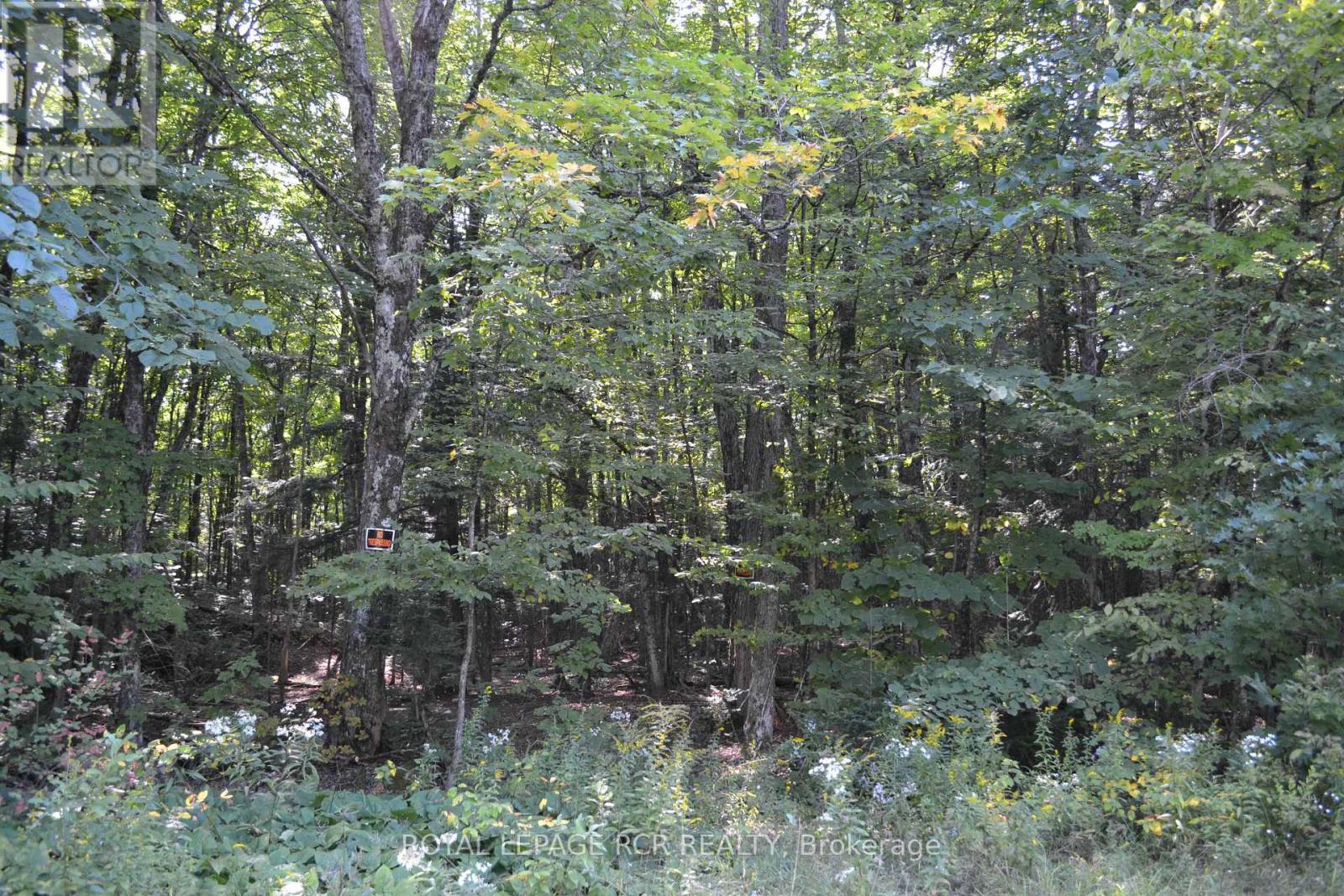 Lot 35 Glamor Lake Road, Highlands East, Ontario  K0M 1R0 - Photo 6 - X9307311