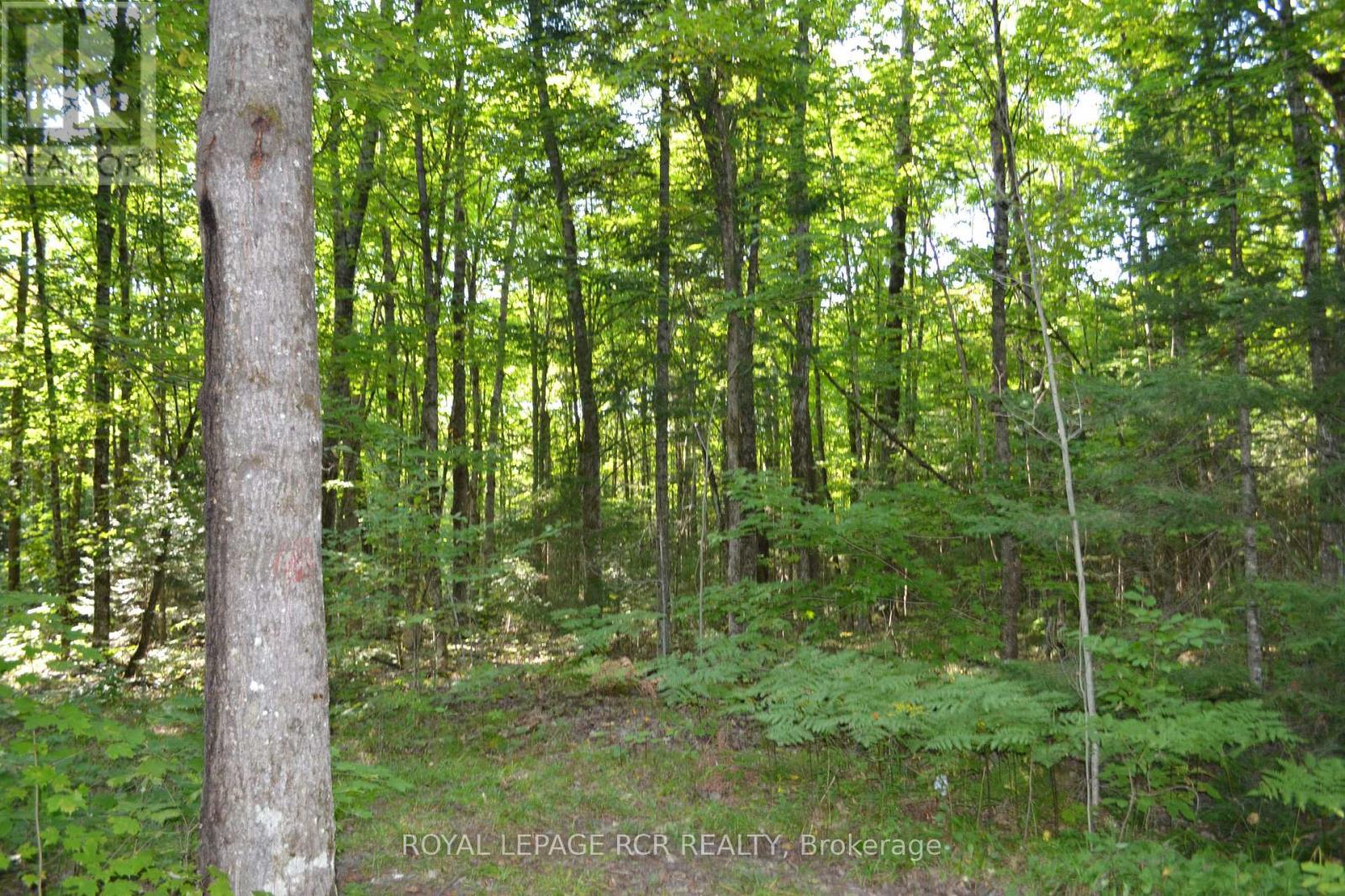 Lot 35 Glamor Lake Road, Highlands East, Ontario  K0M 1R0 - Photo 8 - X9307311