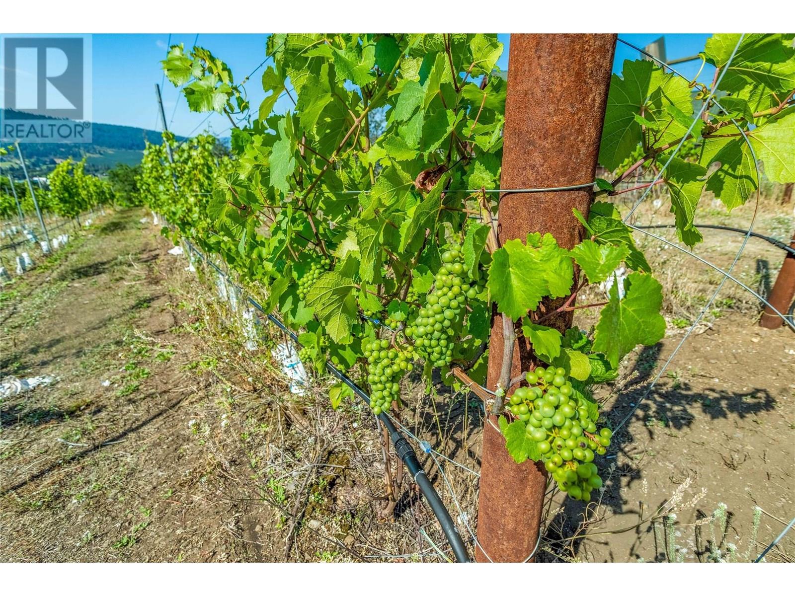 9269 Highway 6, Coldstream, British Columbia V1B 3B5 - Photo 2 - 10323291