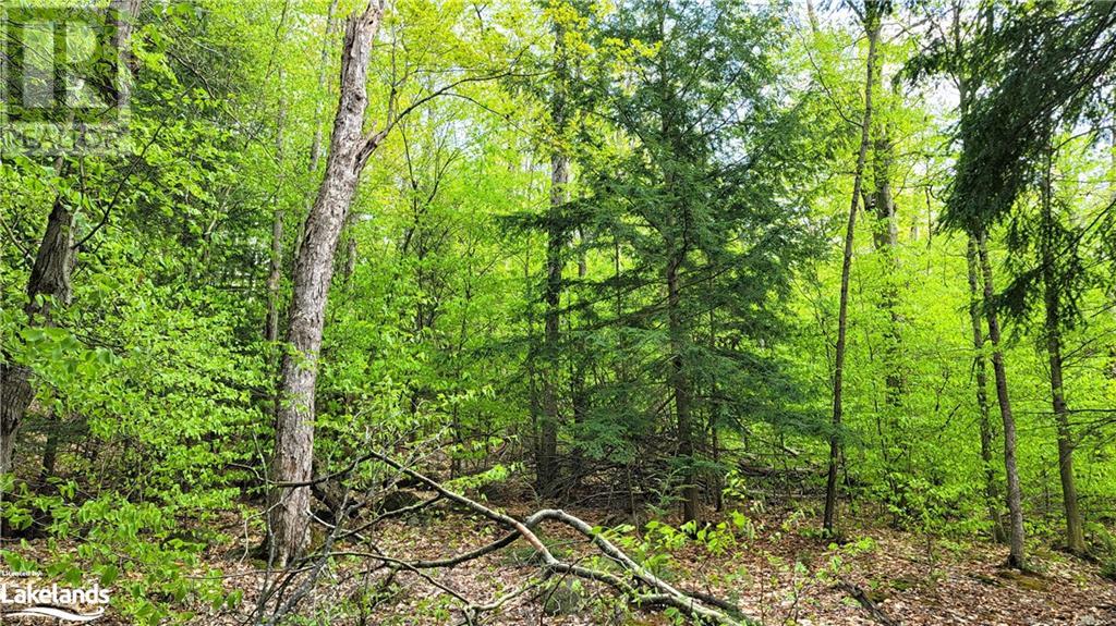 Lot4 Seguin River Estates Louisa Street, Parry Sound, Ontario  P2A 3C1 - Photo 9 - 40644102