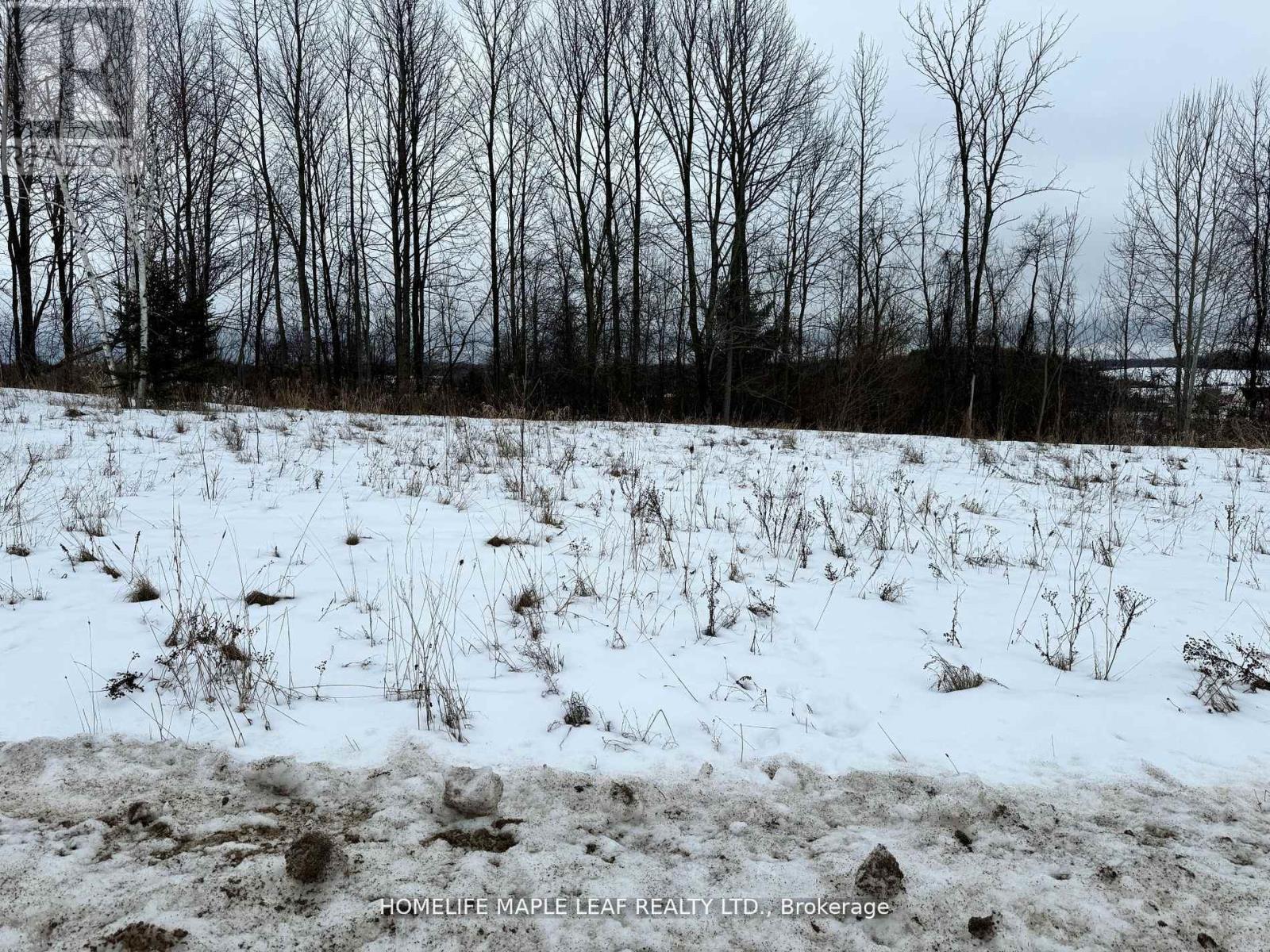 9 Caldwell Drive, Oro-Medonte (Shanty Bay), Ontario  L0L 2L0 - Photo 5 - S9307501