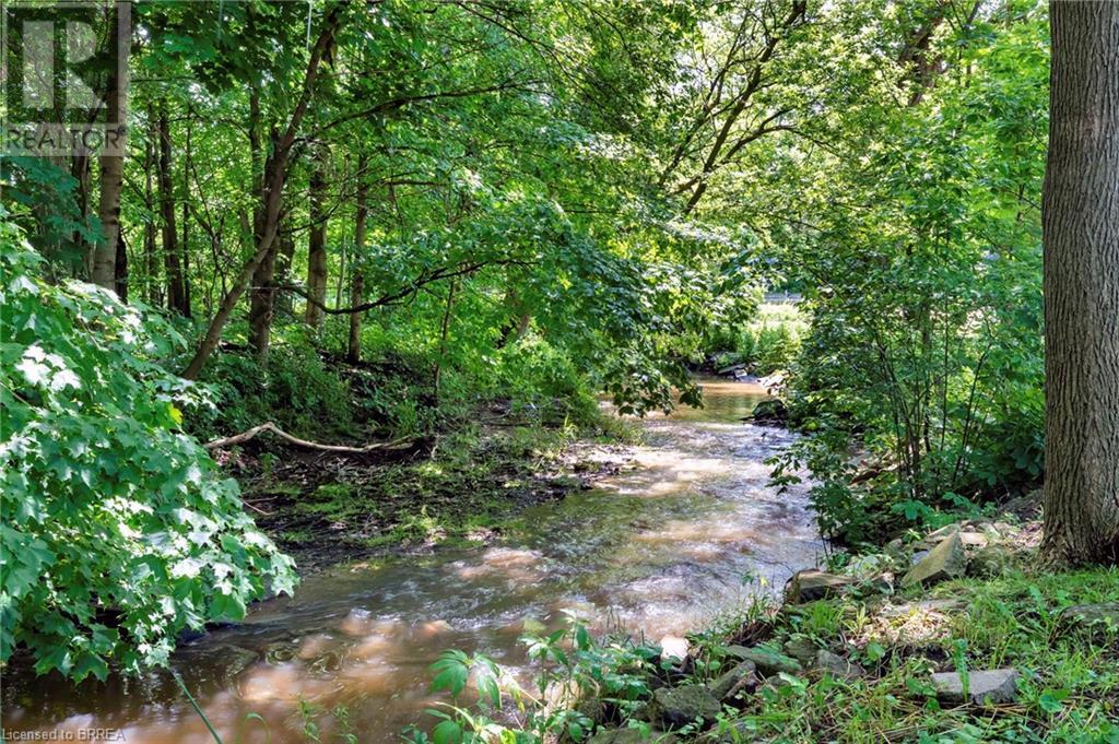 163865 Brownsville Road, Brownsville, Ontario  N0L 1C0 - Photo 19 - 40642678