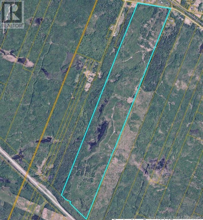 Lot Route 134, Sea Side, New Brunswick  E8G 1T6 - Photo 1 - NB105601