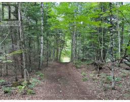 PT LT28 LOOM LAKE ROAD, galway-cavendish and harvey, Ontario