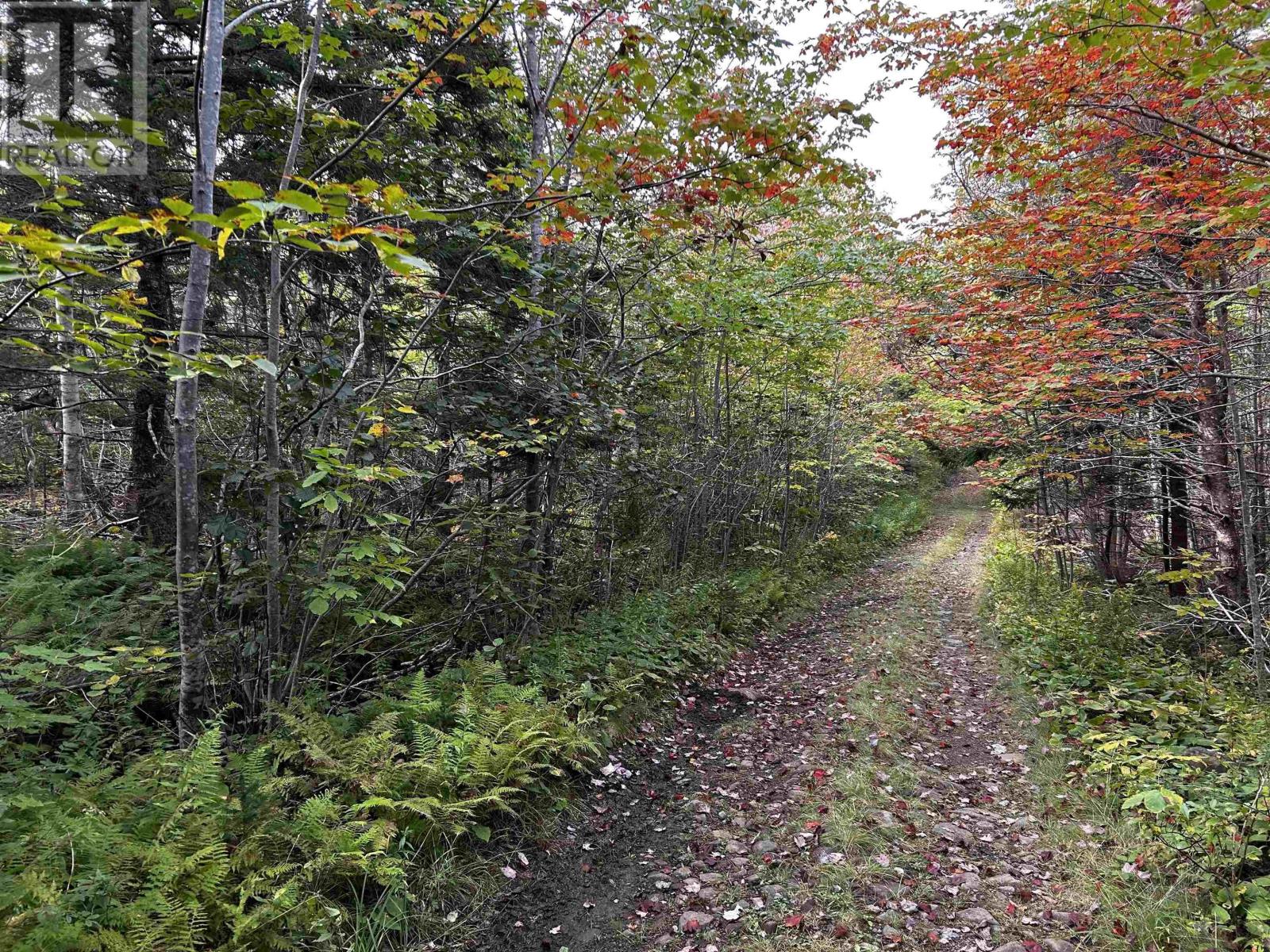 Lot Broad Cove Road, Culloden, Nova Scotia  B0V 1A0 - Photo 1 - 202309980