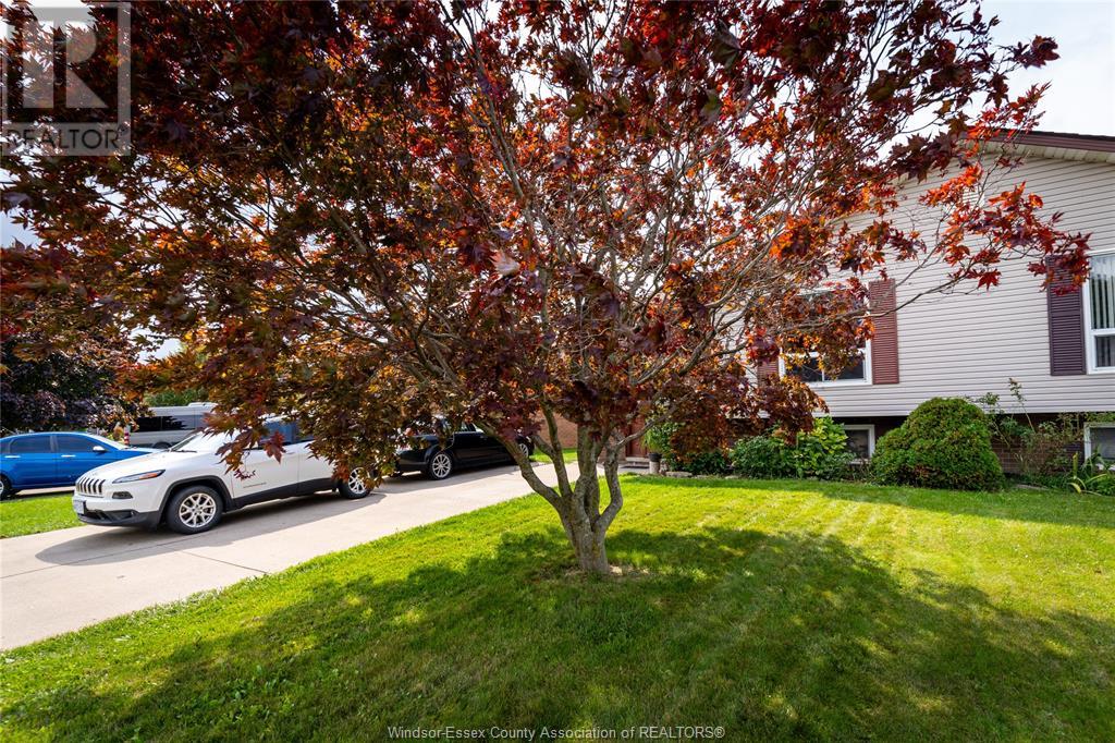 47 Sutton, Leamington, Ontario  N8H 5B1 - Photo 30 - 24020649