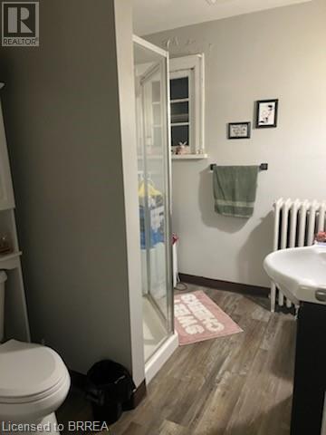 342 Colborne Street, Brantford, Ontario  N3S 3M9 - Photo 8 - 40638086