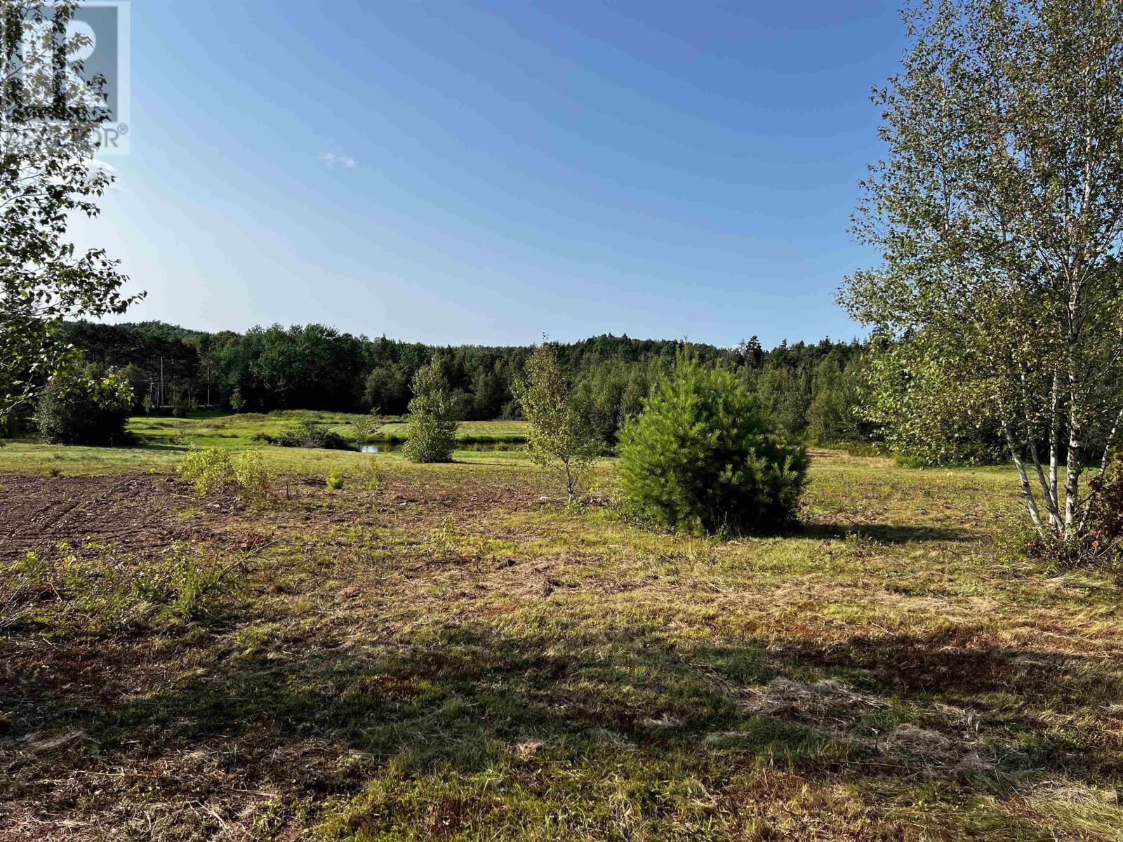 13 Acres Park Falls Road, Sutherlands River, Nova Scotia  B0K 1W0 - Photo 1 - 202421804