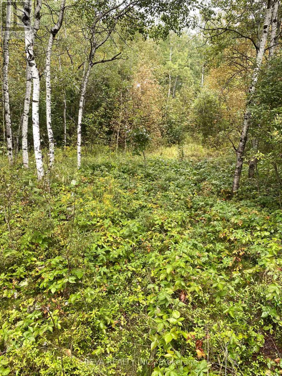 Con 1 Pt Lot 7, Sudbury Remote Area, Ontario  P0M 3C0 - Photo 5 - X9310329
