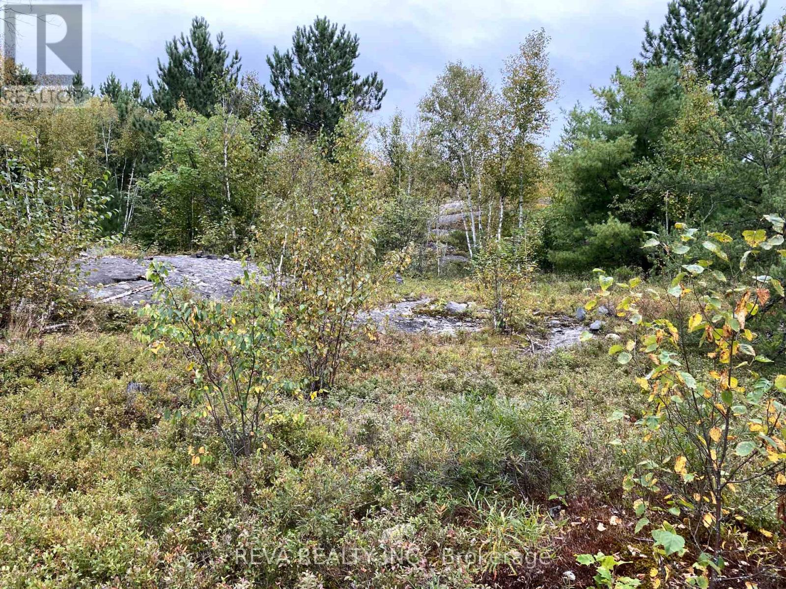 Con 1 Pt Lot 7, Sudbury Remote Area, Ontario  P0M 3C0 - Photo 8 - X9310329