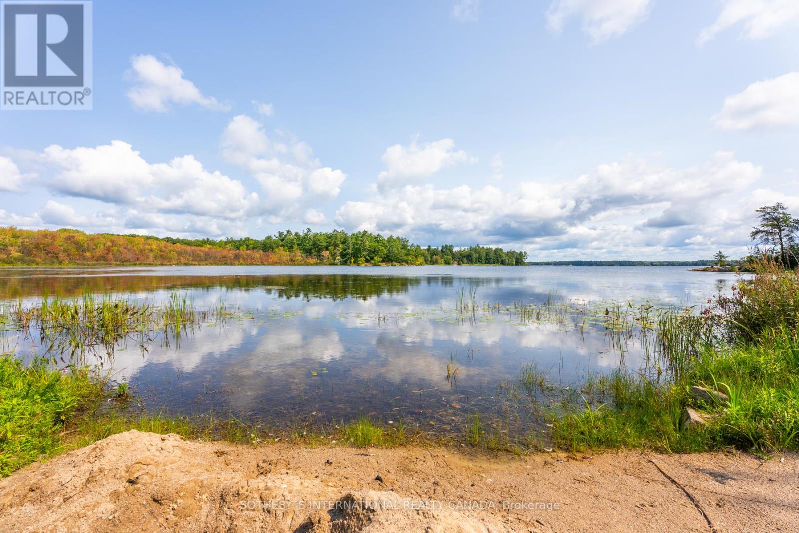 1431 Walters Lane, Severn, Ontario  P0E 1N0 - Photo 23 - S9311158