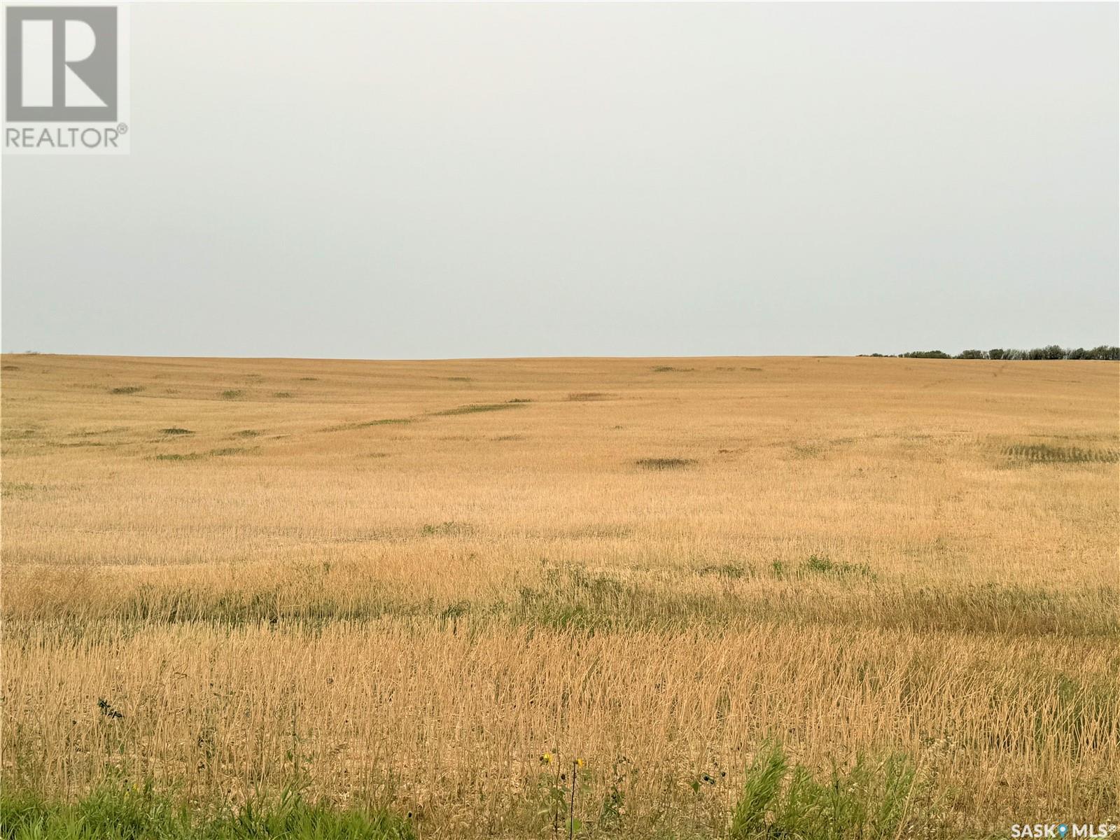 Stepp Quarter, Souris Valley Rm No. 7, Saskatchewan  S0C 2L0 - Photo 4 - SK983120