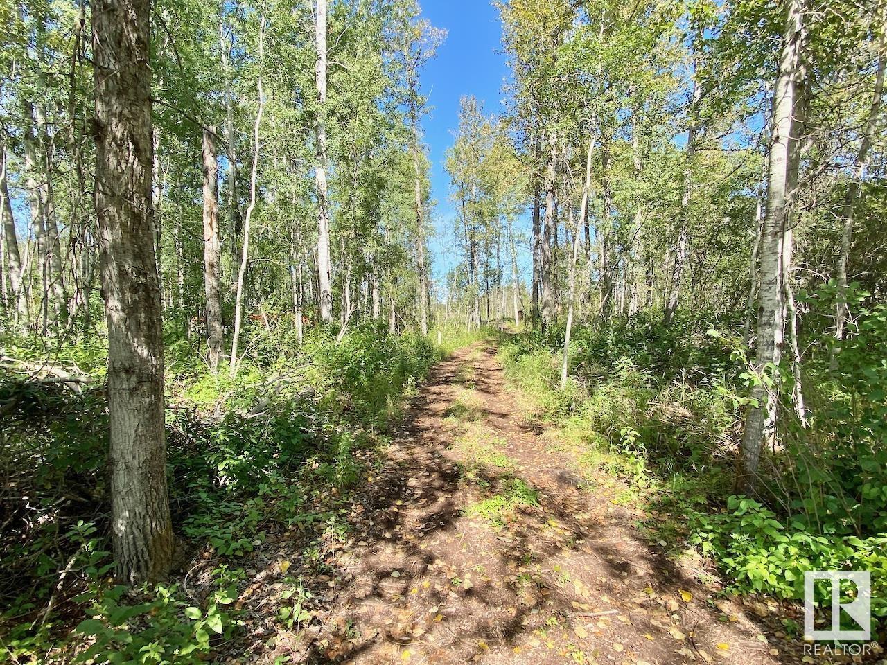 W4 18-65-9-Se, Rural Athabasca County, Alberta  T0A 0M0 - Photo 12 - E4405799