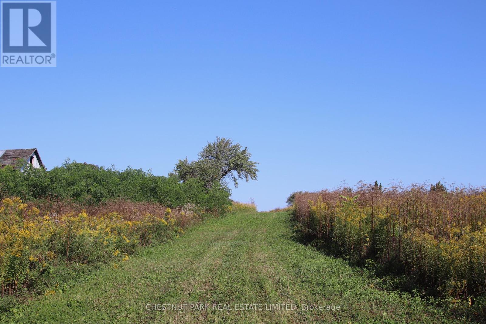 53 Macdonald's Lane, Greater Napanee, Ontario  K0H 1G0 - Photo 6 - X9311605