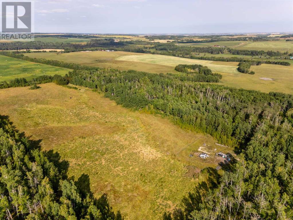 40 Acres Range Road 44, Rural Mountain View County, Alberta  T0M 0R0 - Photo 10 - A2164729