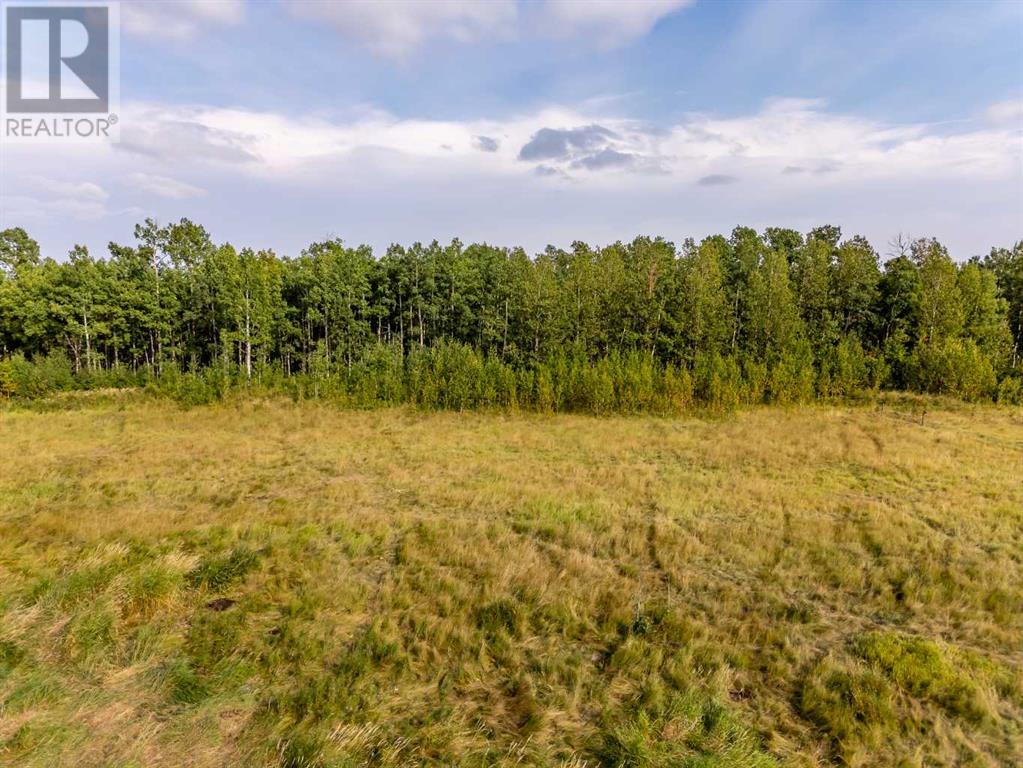 40 Acres Range Road 44, Rural Mountain View County, Alberta  T0M 0R0 - Photo 20 - A2164729