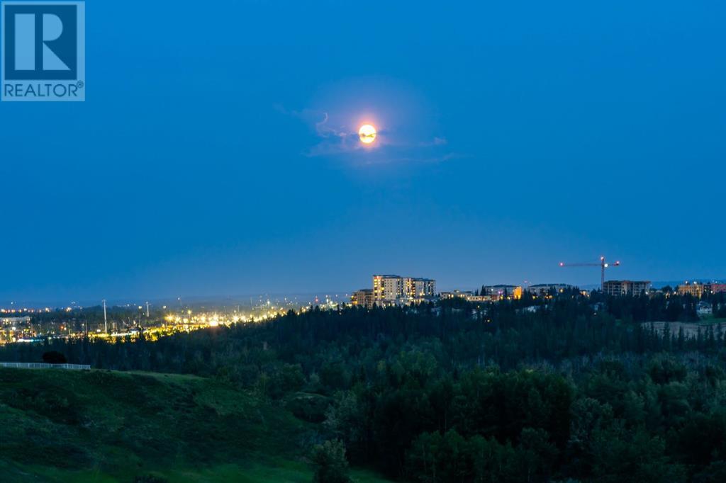 12808 Canso Crescent Sw, Calgary, Alberta  T2W 3A8 - Photo 46 - A2152528