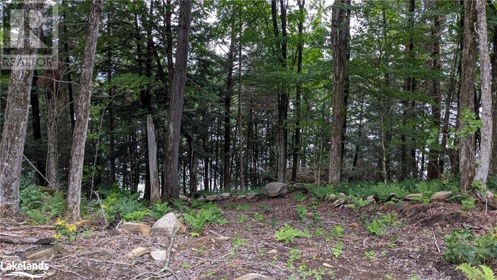 Lot 2 Esig Lane, Lake Of Bays, Ontario  P1H 2J6 - Photo 11 - 40645419