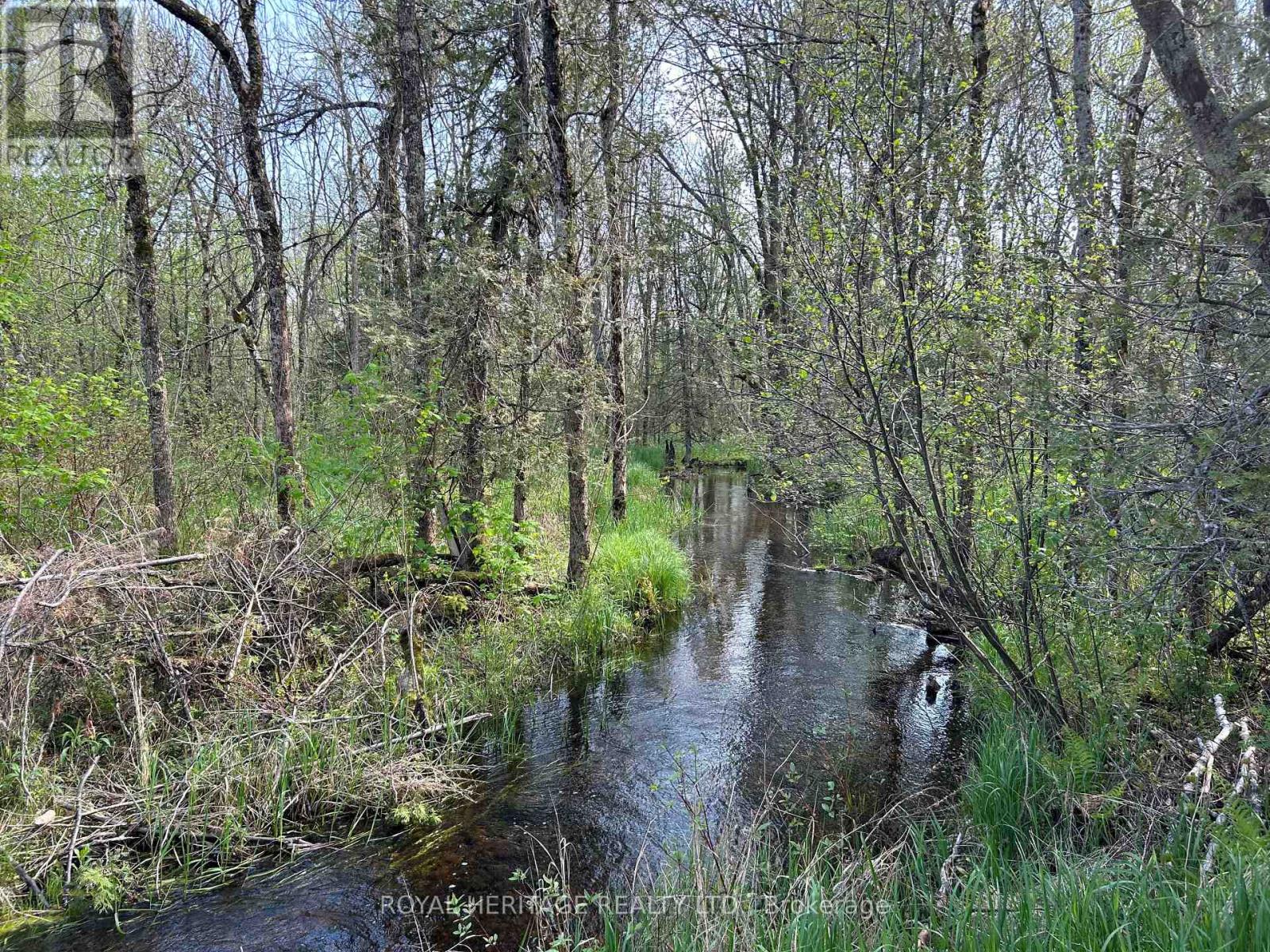 810 4th Line, Douro-Dummer, Ontario  K0L 3E0 - Photo 6 - X9341511