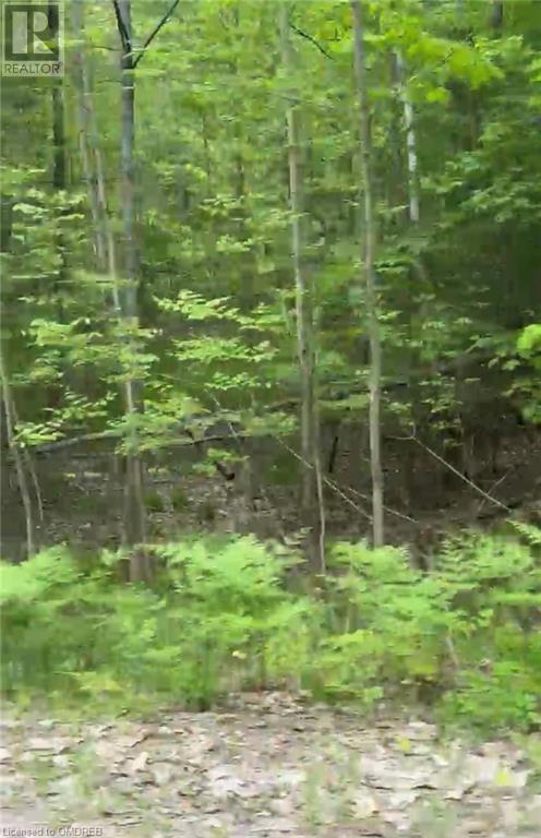 1000 Island Park Road, Port Carling, Ontario  P0B 1J0 - Photo 13 - 40644824