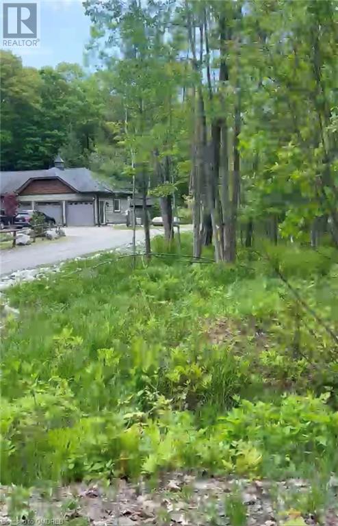 1000 Island Park Road, Port Carling, Ontario  P0B 1J0 - Photo 5 - 40644824