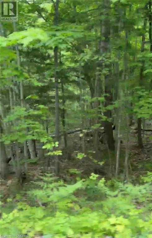 1000 Island Park Road, Port Carling, Ontario  P0B 1J0 - Photo 12 - 40644824