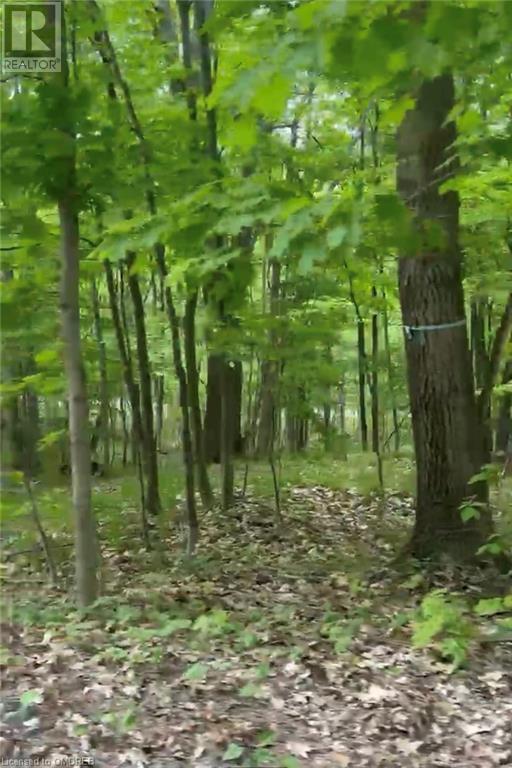 1000 Island Park Road, Port Carling, Ontario  P0B 1J0 - Photo 17 - 40644824