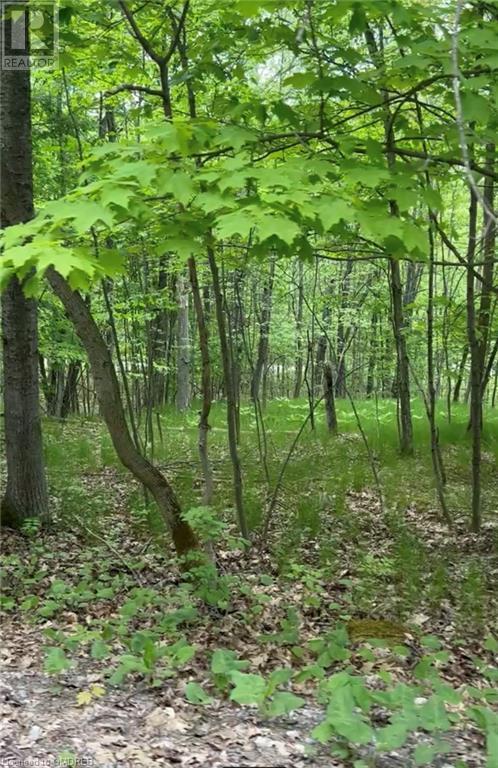 1000 Island Park Road, Port Carling, Ontario  P0B 1J0 - Photo 18 - 40644824