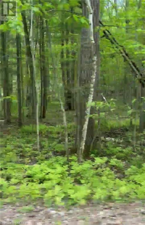 1000 Island Park Road, Port Carling, Ontario  P0B 1J0 - Photo 9 - 40644824