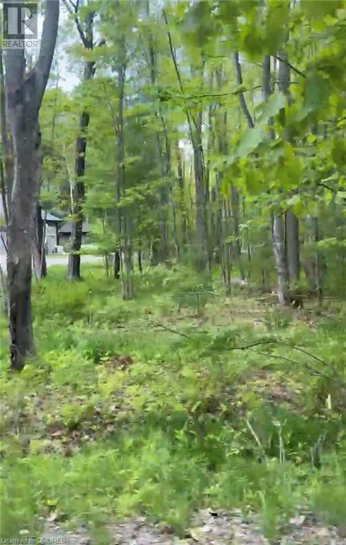 1000 Island Park Road, Port Carling, Ontario  P0B 1J0 - Photo 4 - 40644824