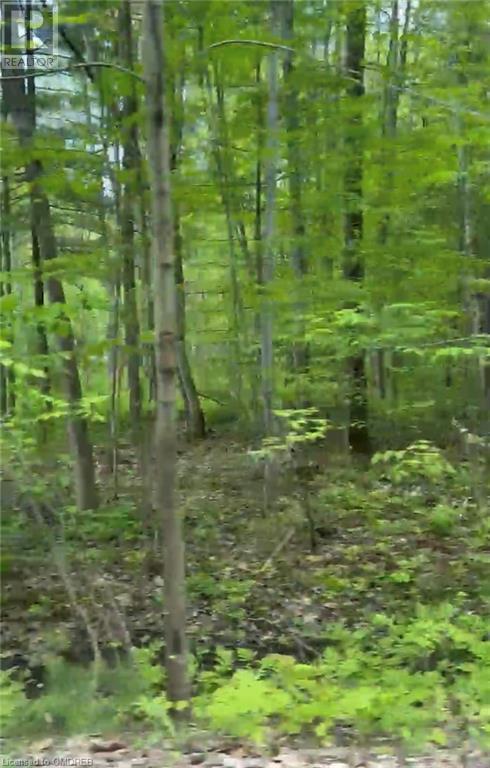 1000 Island Park Road, Port Carling, Ontario  P0B 1J0 - Photo 10 - 40644824