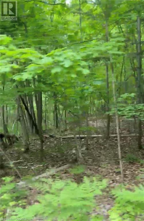 1000 Island Park Road, Port Carling, Ontario  P0B 1J0 - Photo 14 - 40644824