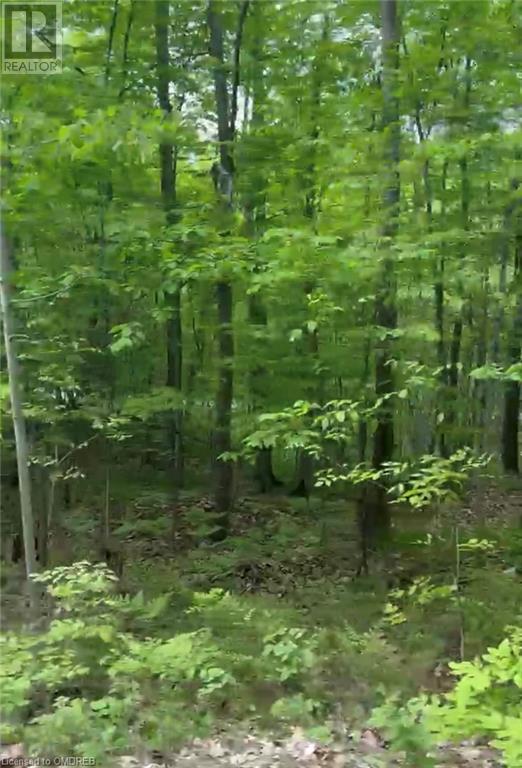 1000 Island Park Road, Port Carling, Ontario  P0B 1J0 - Photo 19 - 40644824